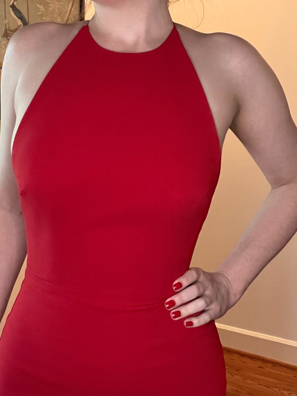 Alex Perry Red Dress - Picture 14 of 16